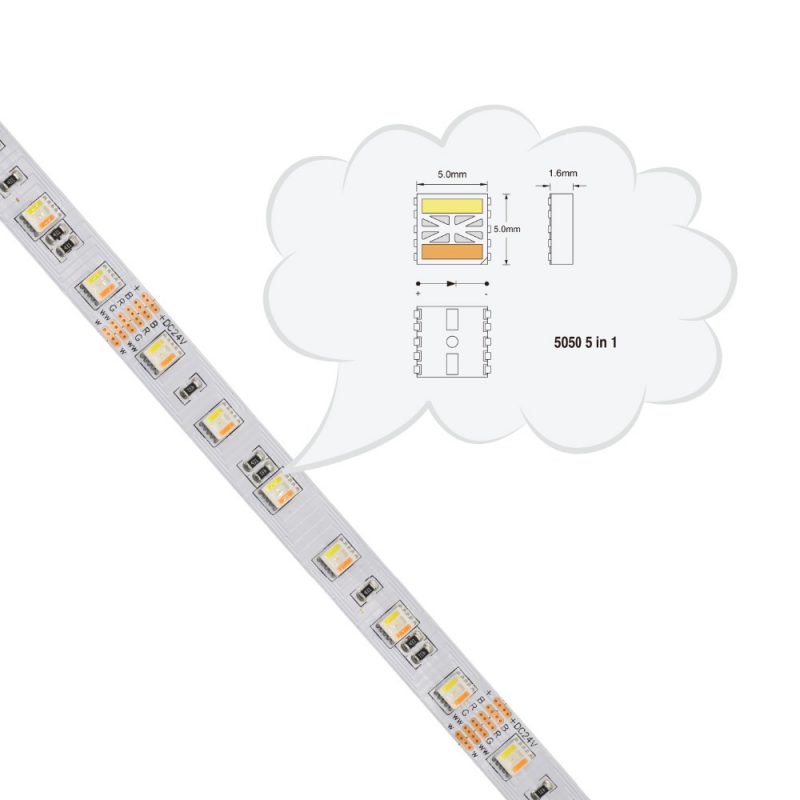 5-IN-1 RGB LED STRIP LIGHTS With RGB + Dynamic White - LEDYTOK LIGHTING ...